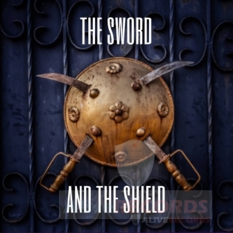 The sword and the shield   image